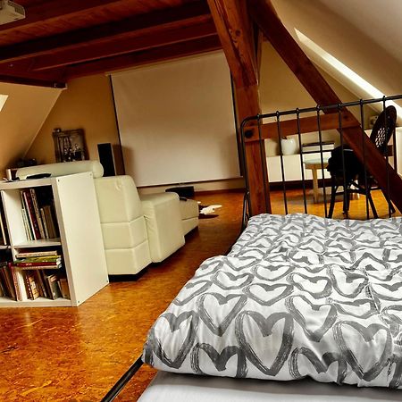Apartman Na Horach, Plesivec Pstruzi  Exterior photo